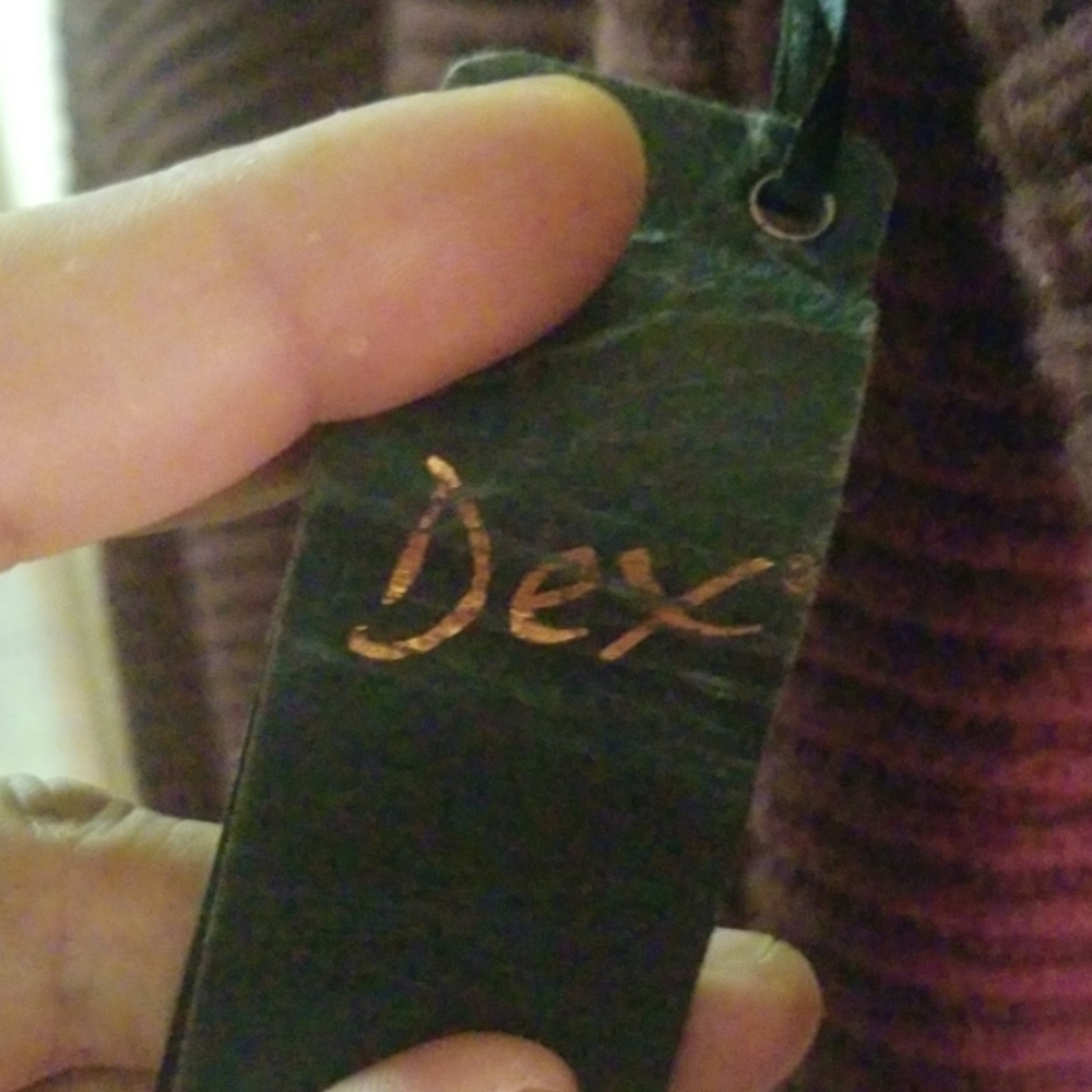 DEX Sweater - Picture 6 of 7